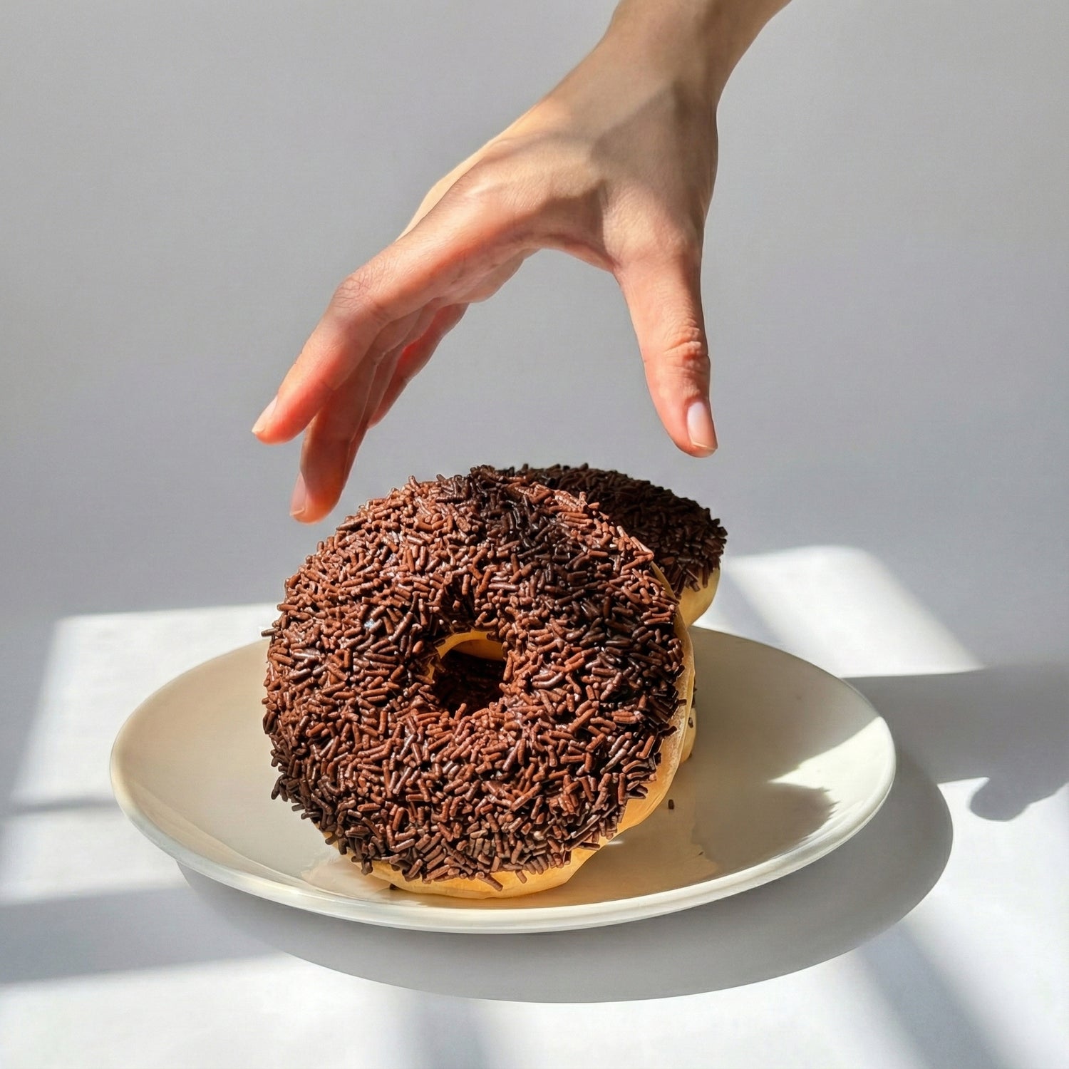 N Donut  - Chocolate Rice