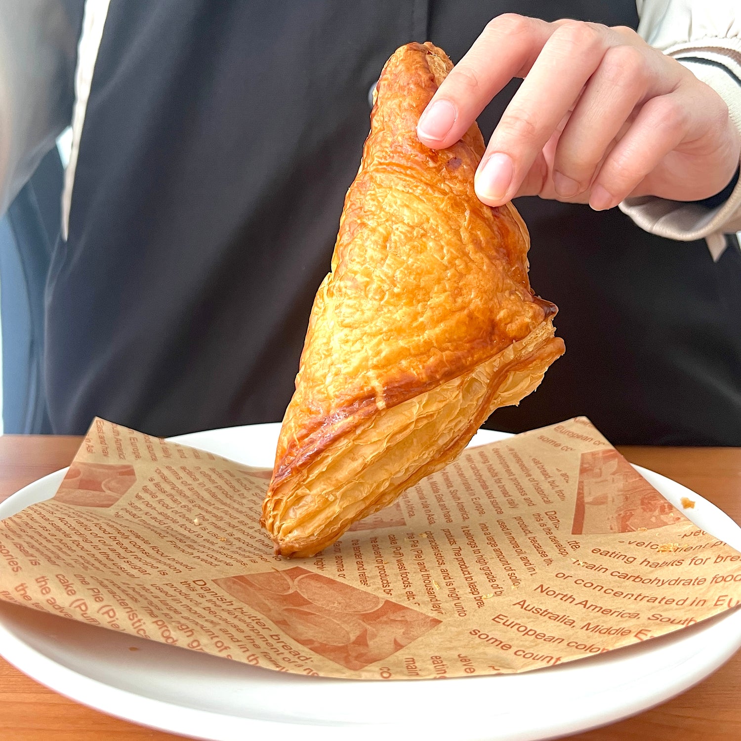 Puff - Tuna Puff (Triangle)